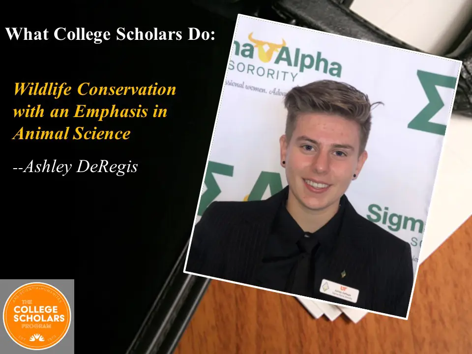 What College Scholars Do: Wildlife Conservation with an Emphasis in Animal Science, Ashley DeRegis